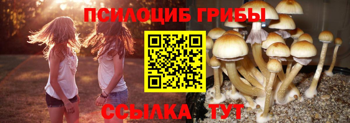 Белорецк  Галлюциногенные грибы MAGIC MUSHROOMS  Вход с VPN 